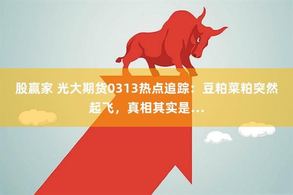 股赢家 光大期货0313热点追踪：豆粕菜粕突然起飞，真相其实是…