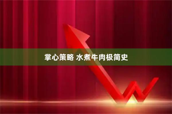 掌心策略 水煮牛肉极简史
