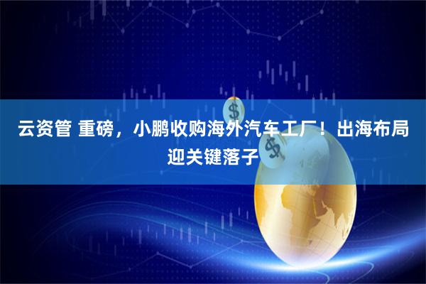 云资管 重磅，小鹏收购海外汽车工厂！出海布局迎关键落子