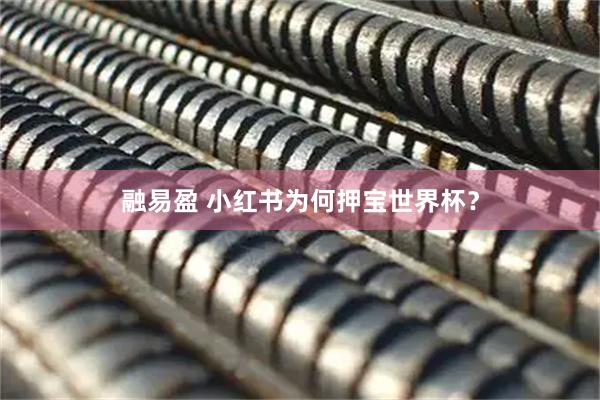 融易盈 小红书为何押宝世界杯?
